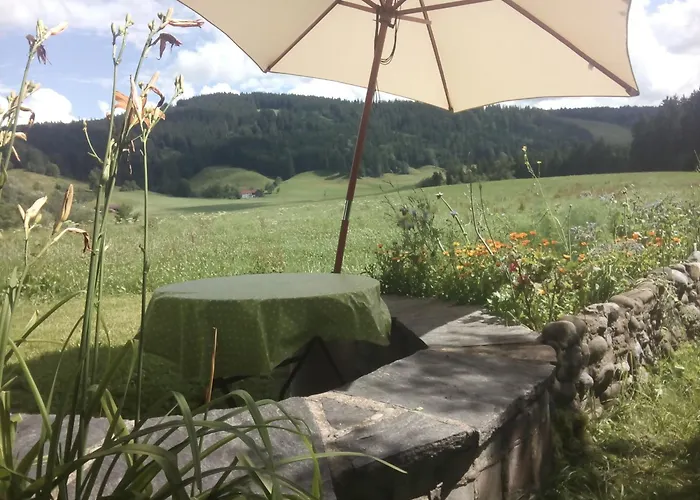 Neueroeffnung, 2 Wunderschoene Im Gruenen