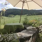 Neueroeffnung, 2 Wunderschoene Im Gruenen